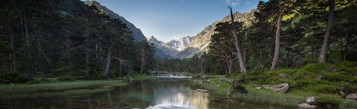 vign cauterets