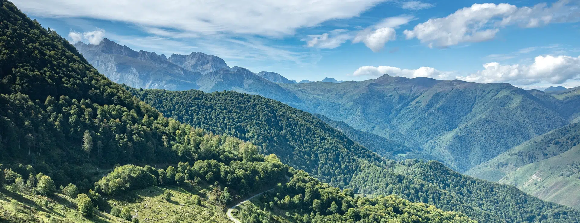 pyrenees-sdhpa65